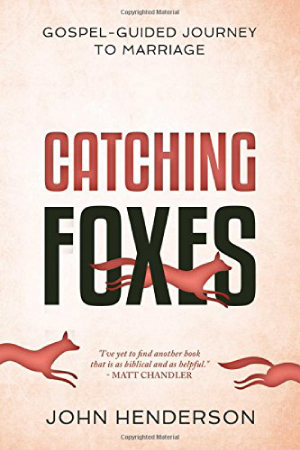 Catching Foxes Book Cover
